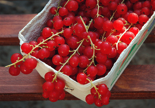 柔軟溫暖而又浪漫的滿滿少女心說說帶圖片6