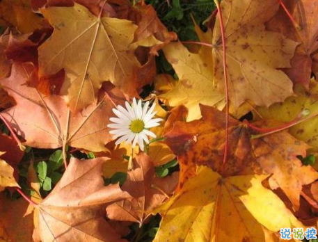 生活很苦很累的個性說說配圖 一個人撐得好辛苦經(jīng)典說說帶圖片5