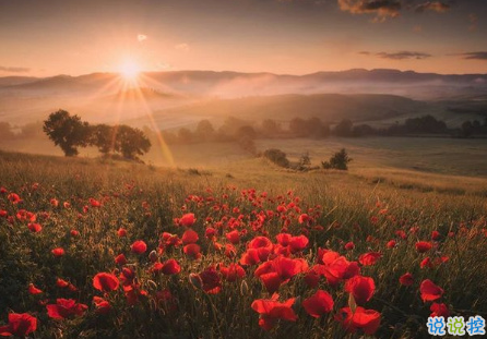 很扎心但很有道理的勵志說說帶圖片 激勵人心的很現(xiàn)實(shí)的一句話說說3