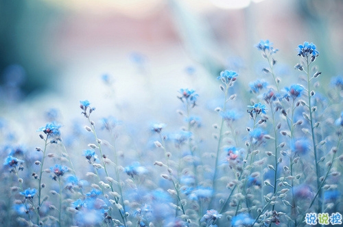 異地戀分手后傷感說說大全 內心難受心情崩潰的傷感說說1