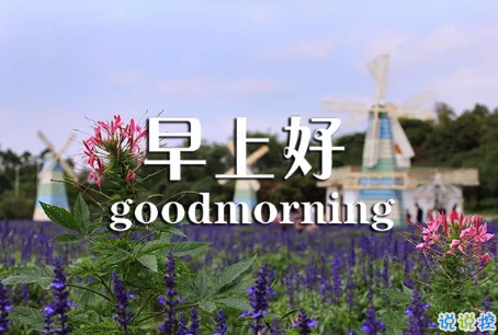 2018早上好正能量的句子和圖片 早上好勵志的句子配圖激勵人心的5