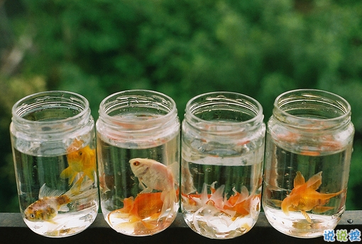 簡(jiǎn)單而又唯美有哲理的英文說(shuō)說(shuō)帶圖片 你醒在別人的夢(mèng)里7