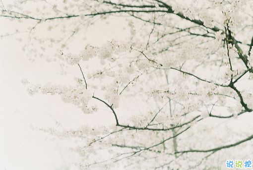 2018正能量的奮斗經(jīng)典說說配圖 簡單霸氣的勵志說說201814