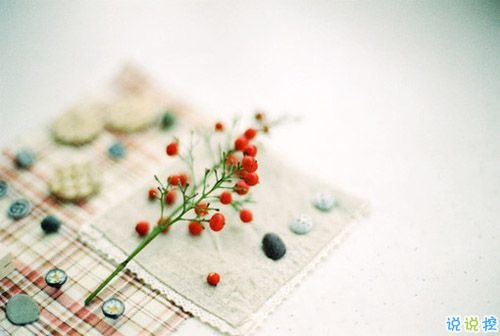 美好愛情說說心情短語 經典愛情語錄甜甜蜜蜜1