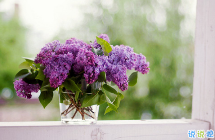 失落的晚安說說帶圖片 傷感一句話晚安說說配圖7