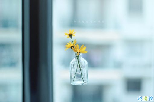 獨(dú)一無(wú)二朋友圈個(gè)性說(shuō)說(shuō)帶圖片 感謝相識(shí)不計(jì)消失回頭是狗7