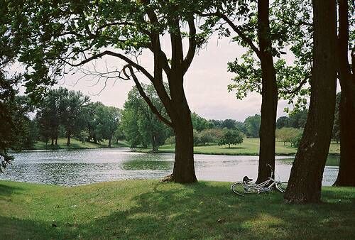 關(guān)于成長(zhǎng)人生和愛情的美到讓人心碎的說說帶圖片14
