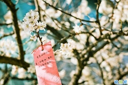 比較特別的女生說(shuō)說(shuō)2019精選帶圖片 忍不住想點(diǎn)贊的女生說(shuō)說(shuō)7