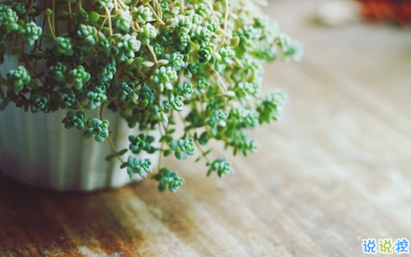 2018失戀的句子說說心情配圖 你永遠(yuǎn)也看不到我最寂寞時(shí)候的樣子15