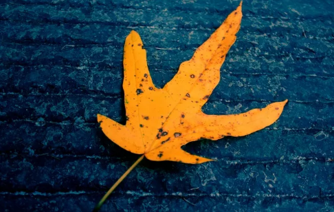 痛到心碎的句子看完瞬間就哭了最新 再也找不到一個(gè)可以相互喜歡的人3