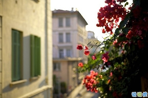 2019最新周末出去玩的心情說(shuō)說(shuō) 春暖花開(kāi)外出游玩發(fā)朋友圈的說(shuō)說(shuō)2