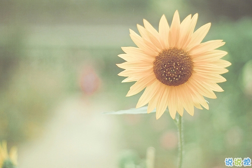 青春年少慢慢成長變得成熟的個(gè)性說說帶圖片 2018很經(jīng)典的成熟個(gè)性說說14