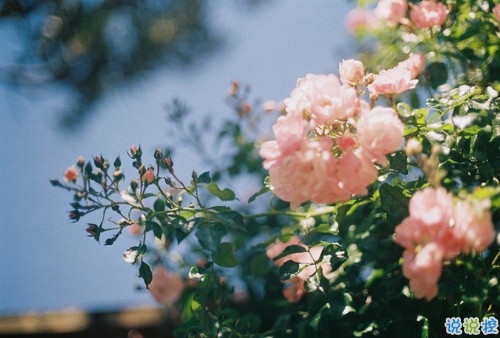 簡單美好的個(gè)性說說超級(jí)暖心 2019請(qǐng)多指教1