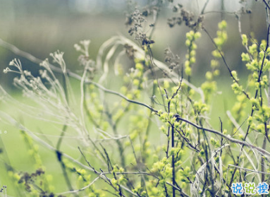 充滿陽光的簡短句子 鼓勵(lì)人的勵(lì)志說說心靈雞湯合集1