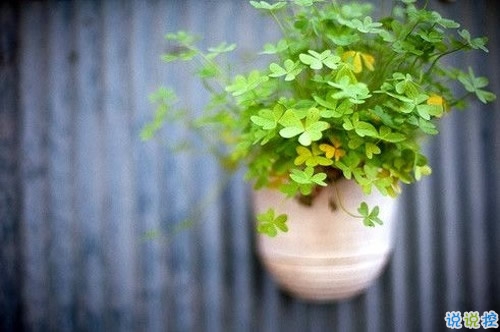 值得收藏的人生大道理勵志說說帶圖片 好聽的激勵人心的說說配圖11