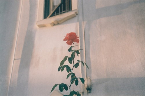 很有詩意的英文哲理句子 一句話但是很有意思的內涵句子 2