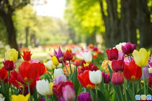 2019適合跨年夜的表白說說 一句話感動對方的完美情話8