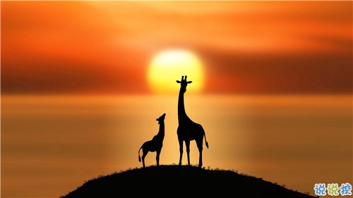 姑娘，我有15句悄悄話說(shuō)給你聽(tīng)。5