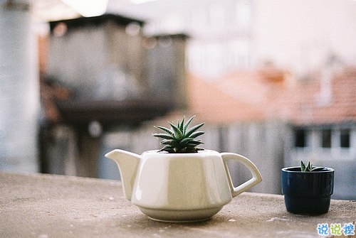 生活中的超勵(lì)志經(jīng)典哲理句子 2018簡單正能量經(jīng)典語錄2