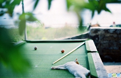 2019豬年除夕祝福語(yǔ)說說簡(jiǎn)短 致所有人的豬年暖心祝福2