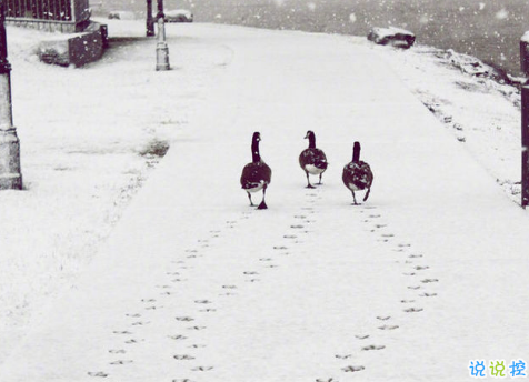 戳心又勵志的說說帶圖片精選 正能量說說給努力奮斗的自己9