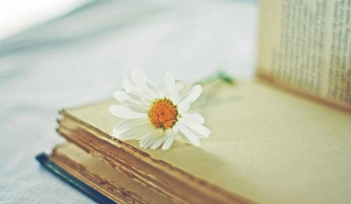 溫暖正能量的勵志說說帶圖片 祝你萬事勝意一切都比你想象的還要好一點13