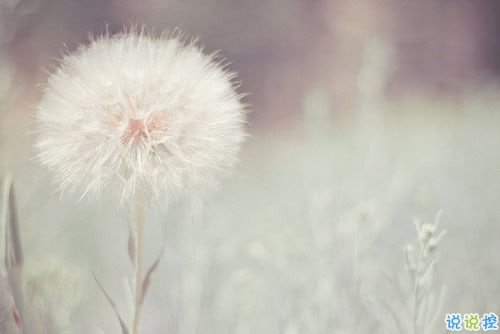 qq霸氣女生超酷說(shuō)說(shuō)大全 雙重人格超酷的個(gè)性說(shuō)說(shuō)6