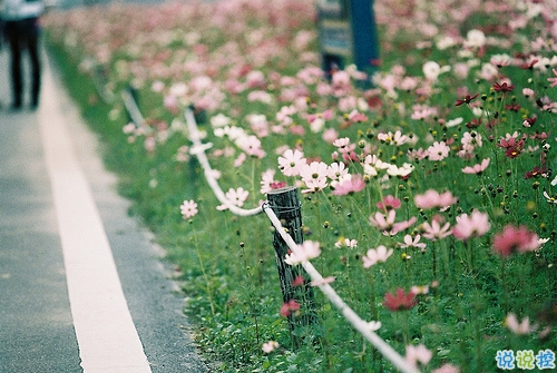 2018最后一天對自己說的話經(jīng)典版 致即將逝去的2018！2