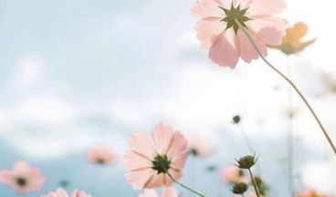 七月早安正能量勵(lì)志哲理說說帶圖 早安！七月！14