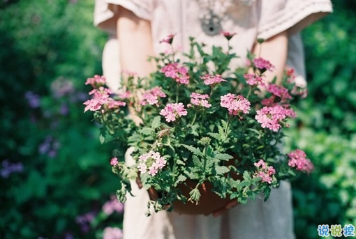 很特別的微信說(shuō)說(shuō)帶圖片獨(dú)一無(wú)二 15條值得收藏的經(jīng)典句子14