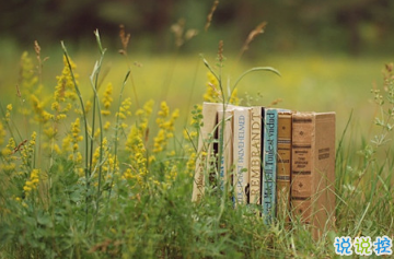 適合春天發(fā)的朋友圈唯美句子 2019春天賞花的心情說說2