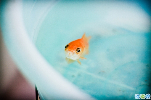 2018表達(dá)心情失落的傷感句子大全 痛到心碎的愛情傷感句子2