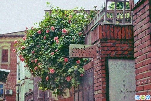 那些和青春夏天有關(guān)的唯美簡(jiǎn)單小清新圖片句子 陽(yáng)光傾落風(fēng)雨都不舍10