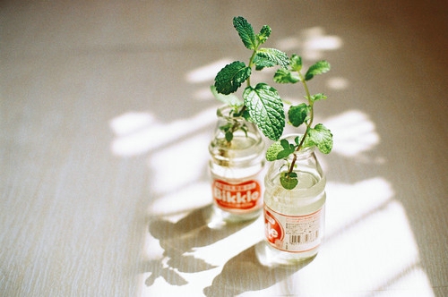 盤點周杰倫那些唱到我們內(nèi)心深處的歌詞帶圖片9