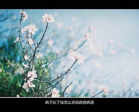 超傷感難過(guò)悲傷的愛(ài)情說(shuō)說(shuō) 你是我枯水年紀(jì)里的一場(chǎng)雨4