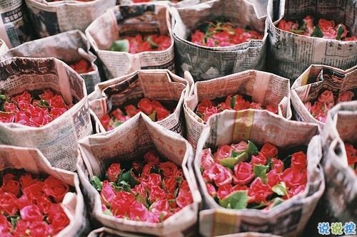 抖音最火經(jīng)典說(shuō)說(shuō)致自己 最新個(gè)人說(shuō)說(shuō)經(jīng)典勵(lì)志帶圖片6