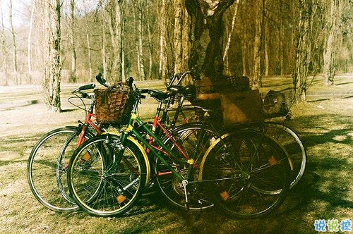 帶圖片的勵(lì)志說說人生感悟 別辜負(fù)了你的野心也別對(duì)不起你受的苦3