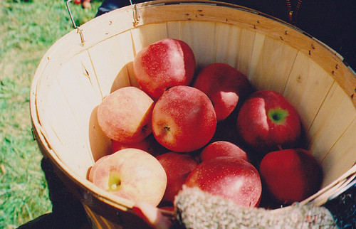 和六月說再見迎接美好的七月的正能量說說帶圖片11