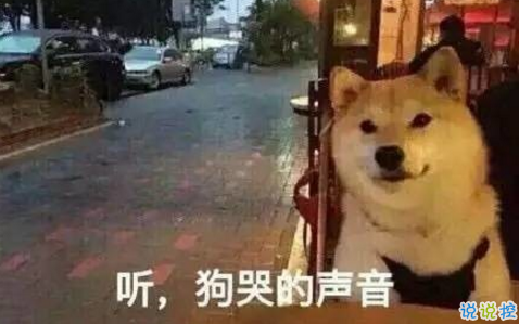 2018朋友圈七夕單身狗段子加配圖 關(guān)于七夕搞笑說說圖片段子2