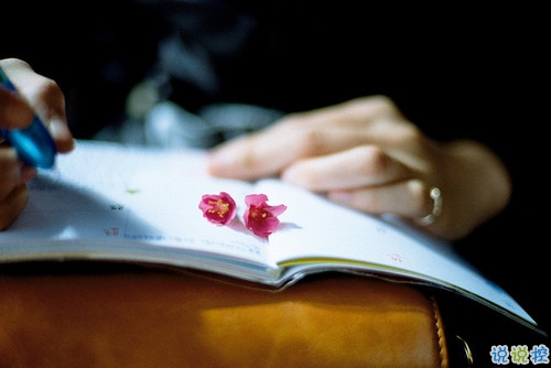 有種淡淡心酸的個(gè)性說說帶圖片 文字控喜歡的文藝個(gè)性說說配圖3