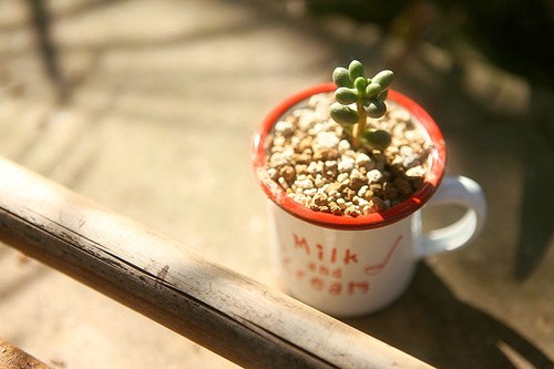 超勵(lì)志的感悟人生的說(shuō)說(shuō)和圖片 幸福沒(méi)有明天只有現(xiàn)在3