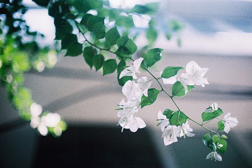 有詩(shī)意的簡(jiǎn)單但很有內(nèi)涵的說(shuō)說(shuō)帶圖片 躲過(guò)了爭(zhēng)吵決絕熬不過(guò)歲月漫長(zhǎng)12