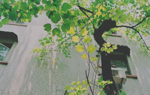 關(guān)于愛(ài)情的有些傷感難過(guò)的說(shuō)說(shuō)帶圖片 遇你之后步步都難走3