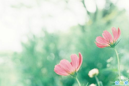 看透愛情的悲傷說(shuō)說(shuō)心痛分手帶圖片 開始很感動(dòng)過(guò)程很精彩結(jié)局不想說(shuō)6