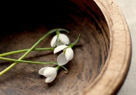 英文美句簡短勵(lì)志帶圖片最新版 2018英文美句帶翻譯一句話4