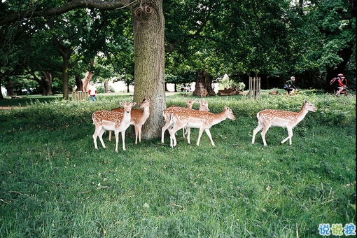 2018再見2019你好勵(lì)志說(shuō)說(shuō)致自己帶圖片 送給自己的2019說(shuō)說(shuō)超勵(lì)志4