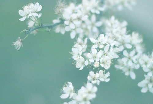 很有詩意的英文哲理句子 一句話但是很有意思的內涵句子 1