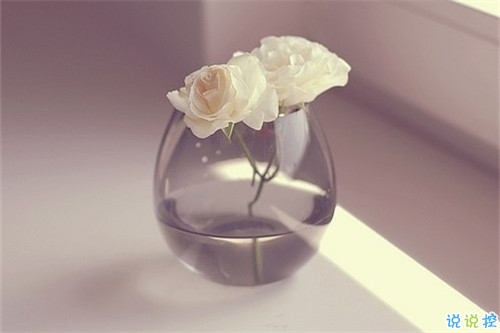 2019傷感經典語錄英文版 憂傷的英文句子帶翻譯2