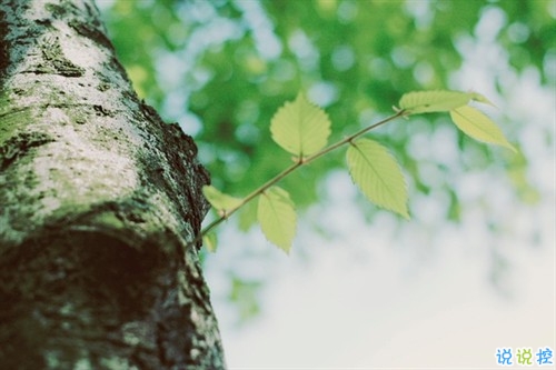 最新微信唯美說(shuō)說(shuō)大全女生專屬 女生都愛(ài)的文藝小清新心情說(shuō)說(shuō)2