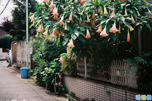 心情郁悶的傷感說(shuō)說(shuō)帶圖片 夜里睡不著覺(jué)的傷感心情說(shuō)說(shuō)配圖9